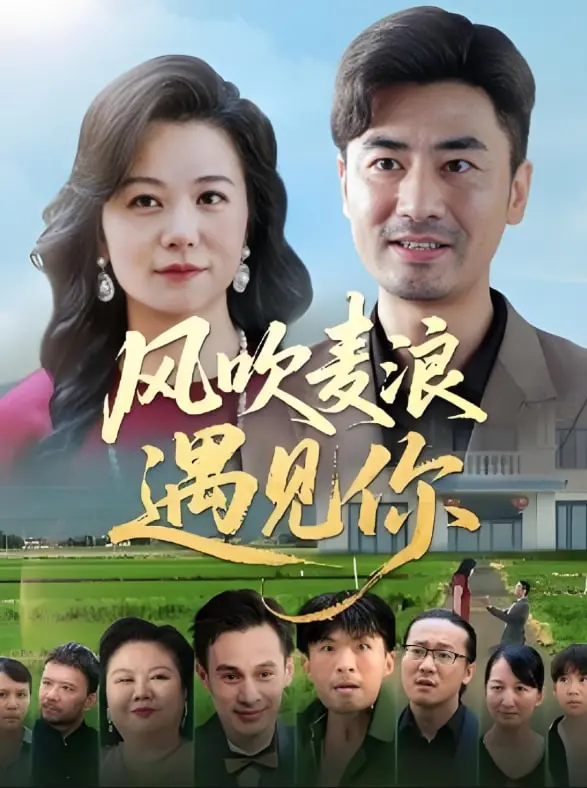 《风吹麦浪遇见你》：初恋的青涩与成长的阵痛，一场关于梦想与现实的浪漫邂逅