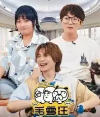 《毛雪汪 加更版》：温暖治愈系，狗狗和朋友们的日常，笑中带泪！